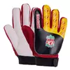 Перчатки вратарские юниорские Liverpool FB-0028-06   8 Красно-желтый (57508122)