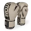 Боксерские перчатки APEX PHBG2403 Phantom  14oz Песочный (37621035)