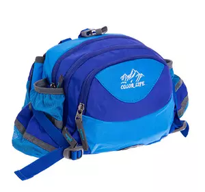 Сумка поясная Color Life Waist Bag TY-5335    Синий (39508226)