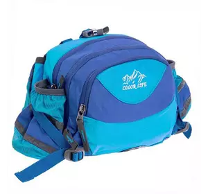 Сумка поясная Color Life Waist Bag TY-5335    Голубой (39508226)