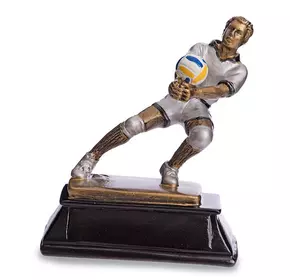 Статуэтка наградная спортивная Волейбол Волейболист C-3683-A11     Бронза (33508276)
