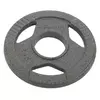 Блины (диски) стальные с хватом TA-7791   1,25кг  Серый (58363172)