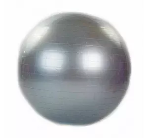 Мяч для фитнеса (фитбол) FI-1981 Zelart   75см Серый (56363063)