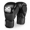 Боксерские перчатки RIOT Pro PHBG2540 Phantom  14oz Черный (37621040)