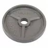 Блины (диски) стальные TA-7792   10кг  Серый (58363171)