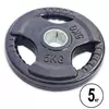 Блины (диски) обрезиненные TA-5706   5кг  Черный (58508105)