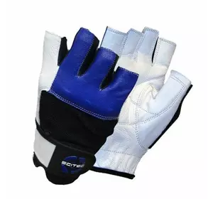 Перчатки для тренировок Blue Style Scitec Nutrition  S Бело-синий (07087012)