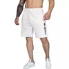 Мужские шорты HG8 TotalFit  3XL Белый (06399657)