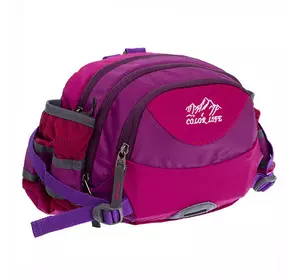 Сумка поясная Color Life Waist Bag TY-5335    Фиолетово-малиновый (39508226)