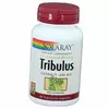 Трибулус Террестрис, Tribulus Extract, Solaray  60вегкапс (08411002)