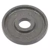 Блины (диски) стальные TA-7792 Zelart  2,5кг  Серый (58363171)