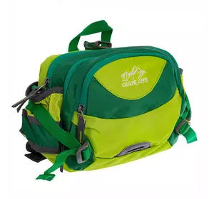 Сумка поясная Color Life Waist Bag TY-5335    Салатовый (39508226)