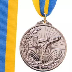 Медаль спортивная с лентой Каратэ C-7016     Серебряный (33508367)