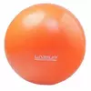 Мяч гимнастический Mini Ball LiveUp   20см Фиолетовый (56396019)