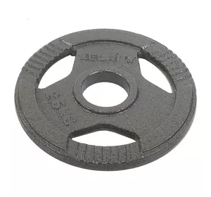 Блины (диски) стальные с хватом TA-7791   2,5кг  Серый (58363172)