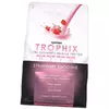 Комплексный Протеин, Trophix 5.0, Syntrax  2270г Печенье с корицей (29199007)