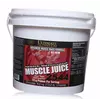 Гейнер, Muscle Juice 2544, Ultimate Nutrition  6000г Шоколад (30090002)
