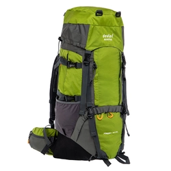 Рюкзак туристический с каркасной спинкой DTR G80-10 FDSO   Зеленый (59508301)