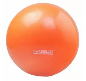 Мяч гимнастический Mini Ball LiveUp   20см Фиолетовый (56396019)